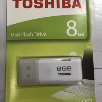 USB/Flash Disk