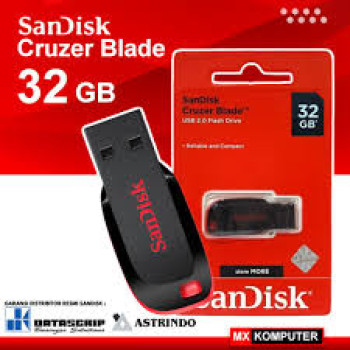 Flash Disk
