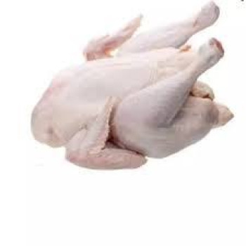 Ayam Potong Segar