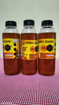 Madu Hutan Apis Dorsata