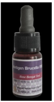 Antigen RBT