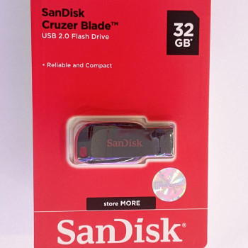 FLASH DISK