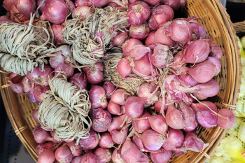 BAWANG MERAH