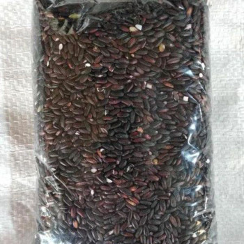 BERAS KETAN HITAM
