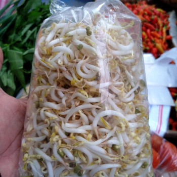 sayur tauge