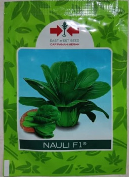 BENIH PACKCOY