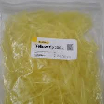 Yellow Tips