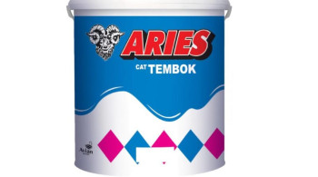 Cat Tembok