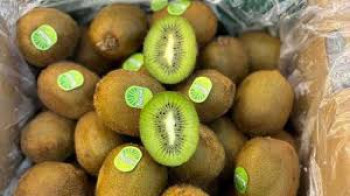 KIWI KIWI