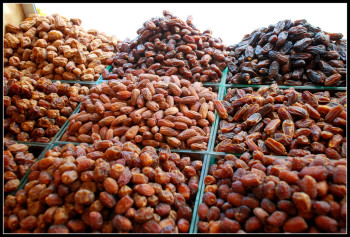 KURMA KURMA