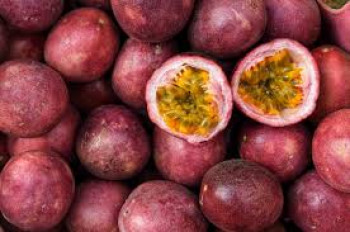 MARKISA MARKISA