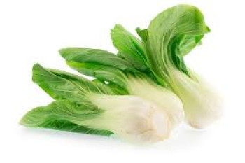 SAYUR PAK COY SAYUR PAK COY