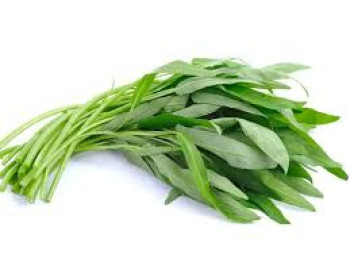 SAYUR KANGKUNG SAYUR KANGKUNG