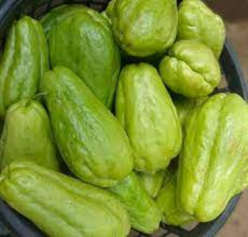 SAYUR LABU SIAM SAYUR LABU SIAM