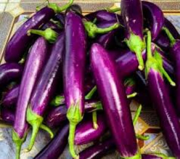 SAYUR TERONG SAYUR TERONG