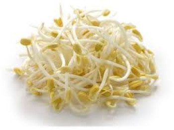SAYUR TAUGE SAYUR TAUGE