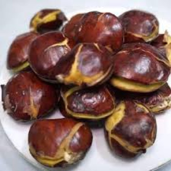 SAYUR JENGKOL SAYUR JENGKOL