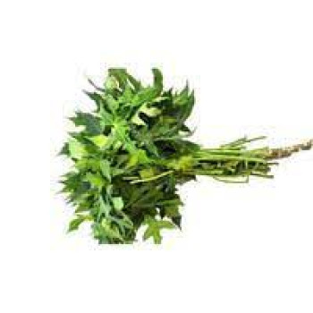 SAYUR DAUN PEPAYA SAYUR DAUN PEPAYA