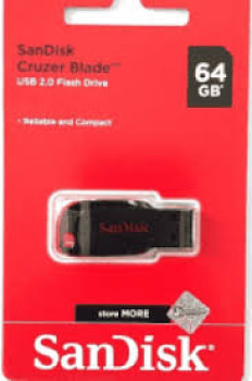 flashdisk 65gb