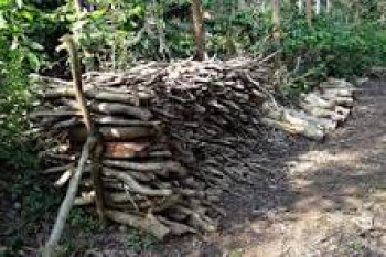 KAYU BAKAR