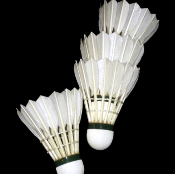 SHUTTLECOCK BULUTANGKIS