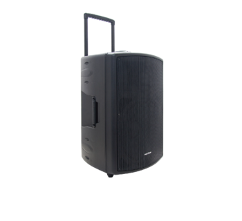 POLYTRON PROFESSIONAL SPEAKER PAS PRO15f3
