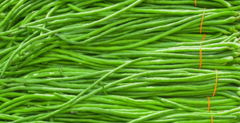 Sayur Kacang Panjang