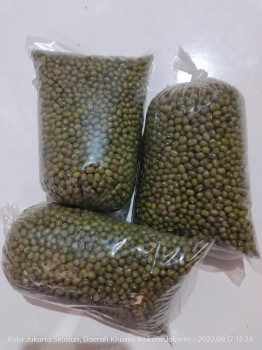 Kacang Hijau