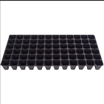 Tray Semai Tanaman